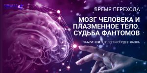 Время Перехода: Мозг человека и Плазменное тело. Судьба Фантомов