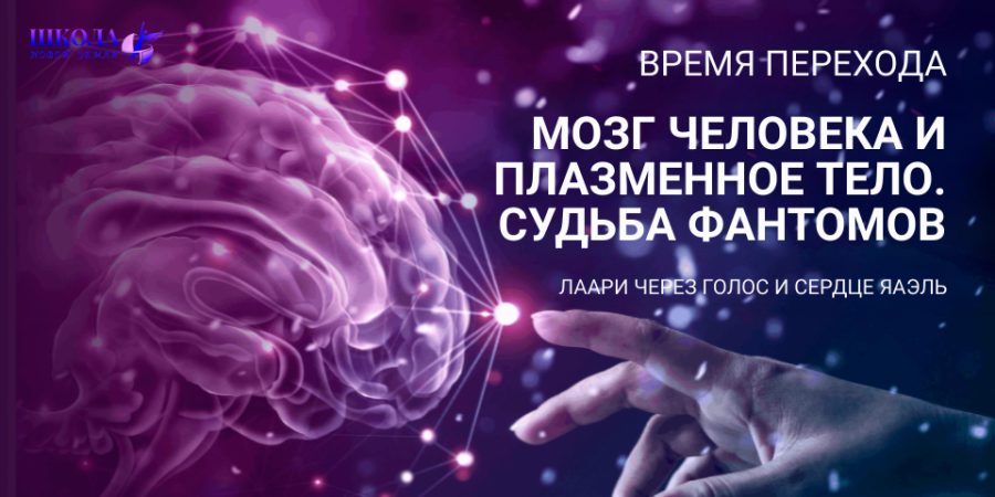 Время Перехода: Мозг человека и Плазменное тело. Судьба Фантомов