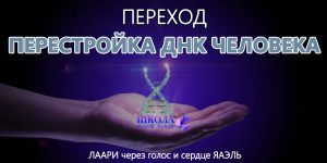 Переход: Перестройка ДНК человека