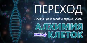 Переход: Алхимия клеток
